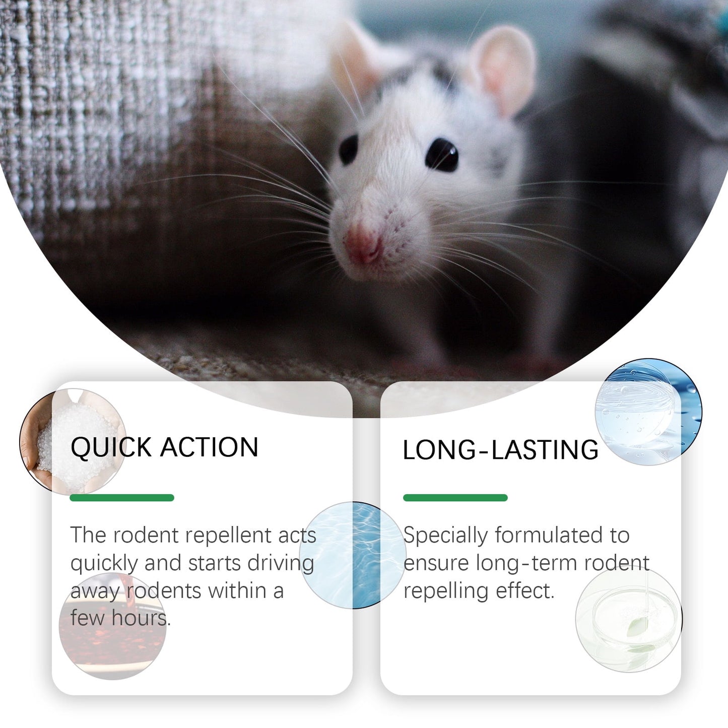 Kqiang Mint-Scented Mouse Repellent Spray, 150ml Natural Insect Spray for Rodent Control and Prevention, 2 Pack